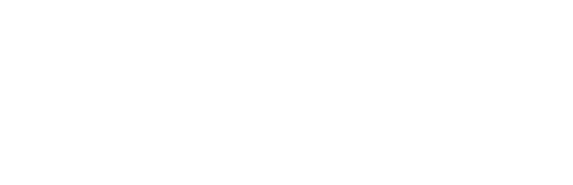 Stella Studios Logo